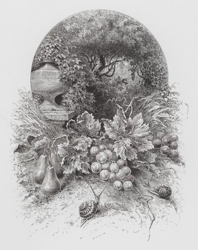 Böcek: Salyangoz (gravür) by Hector Giacomelli