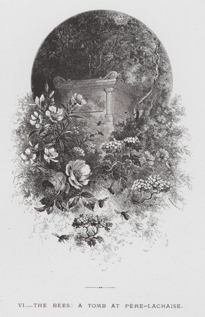 Böcek: Arılar, Pere-Lachaise