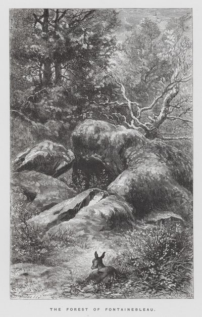 Böcek: Fontainebleau Ormanı (gravür) by Hector Giacomelli