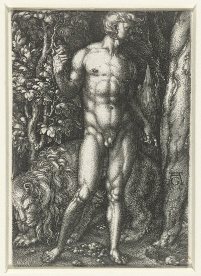 Adem by Heinrich Aldegrever