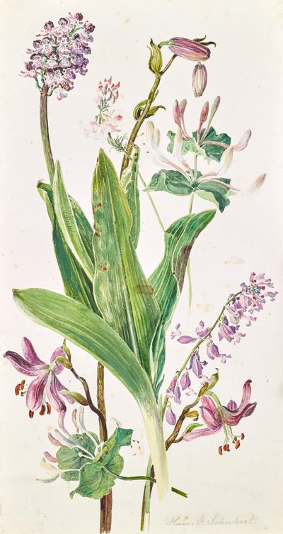  by Heinrich Carl Schubert