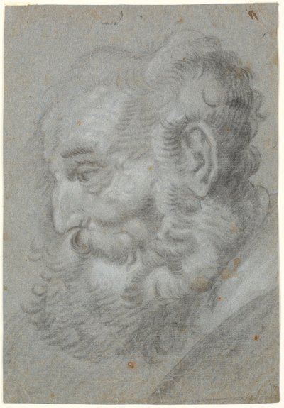 Oldingehoved, profil sola by Heinrich Dittmers