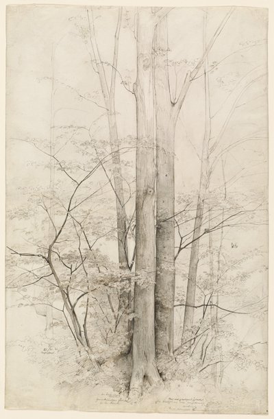 Bir Ağaç Standı by Heinrich Dreber
