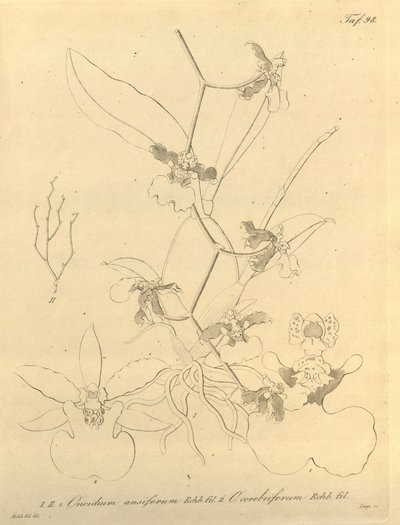 Bu dosya Biodiversity Heritage Library