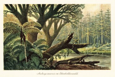 Archegosaurus decheni, ilkel bir ormanda bir nehir kenarında. by Heinrich Harder