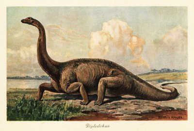 Ovalarda soyu tükenmiş Diplodocus longus. by Heinrich Harder