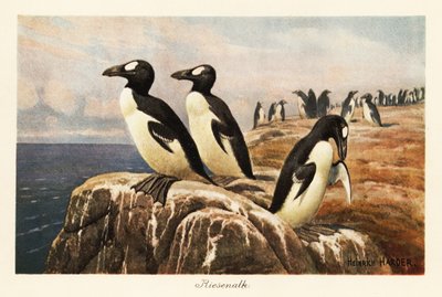Bir uçurumun kenarında duran soyu tükenmiş büyük auklar. by Heinrich Harder