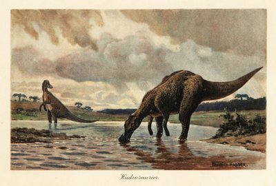 Nehirde beslenen hadrosaurlar veya ördek gagalı dinozorlar. by Heinrich Harder