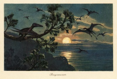 Ay ışığında uçan Rhamphorhynchus pterosaurlar. by Heinrich Harder