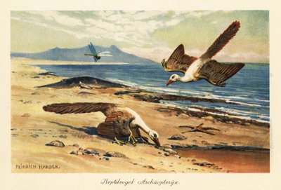 Kıyıda yiyecek arayan iki Archaeopteryx. by Heinrich Harder