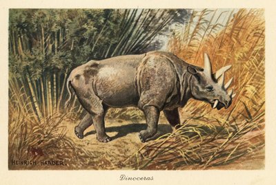 Uintatherium bir orman temizliğinde. by Heinrich Harder