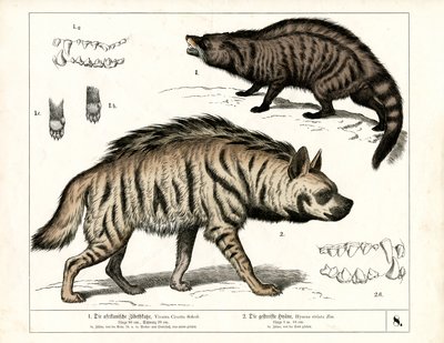  by Heinrich Leutemann