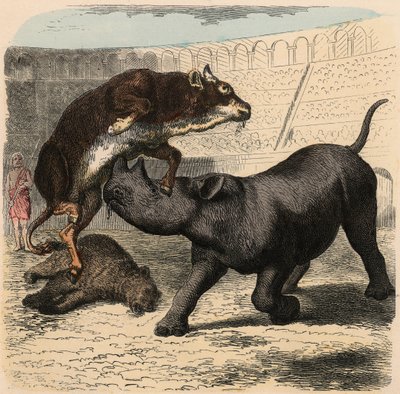 Antik Roma: Amfitiyatroda savaşan hayvanlar by Heinrich Leutemann