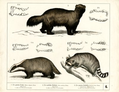  by Heinrich Leutemann