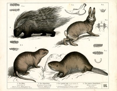  by Heinrich Leutemann
