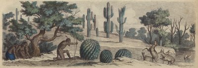 Colorado (renkli gravür) by Heinrich Leutemann