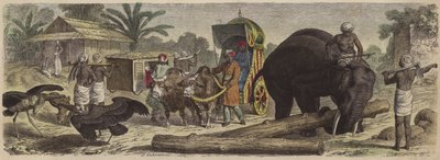 Bengal, Hindistan