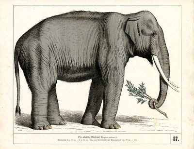  by Heinrich Leutemann