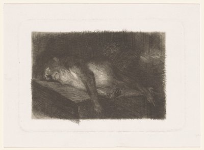 Yalan, uyuyan maymun by Heinrich M. Krabbé