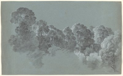 Işığın Çarptığı Orman Ağaç Tepeleri by Heinrich Rieter