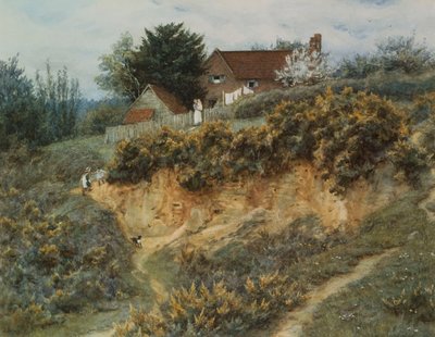 Sandhills, Witley