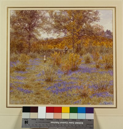 Bluebell Korusu, 1889 by Helen Allingham