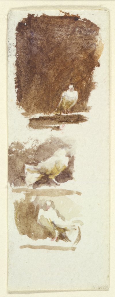Güvercinler (kağıt üzerinde wc) by Helen Allingham