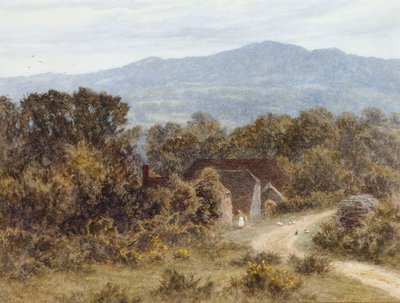 Sandhills, Witley