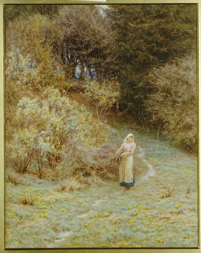 Primrose Wood