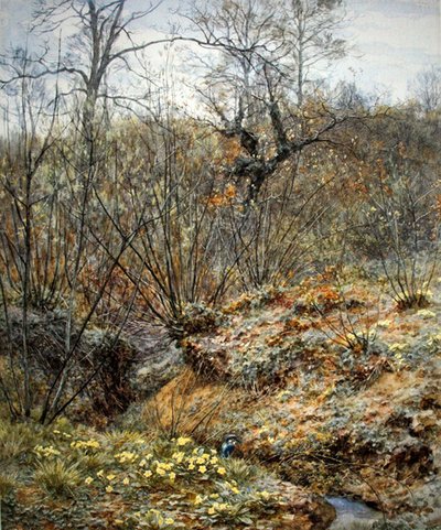 Bahar korusu, Witley, Surrey (kağıt üzerine suluboya) by Helen Allingham