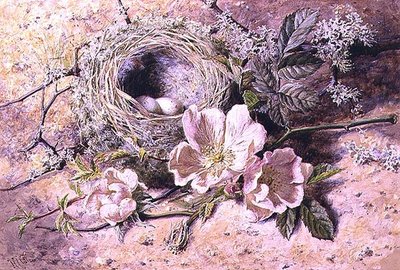 Çiçeği ve Kuş Yuvası (kağıt üzerine sulu boya) by Helen Cordelia Coleman Angell