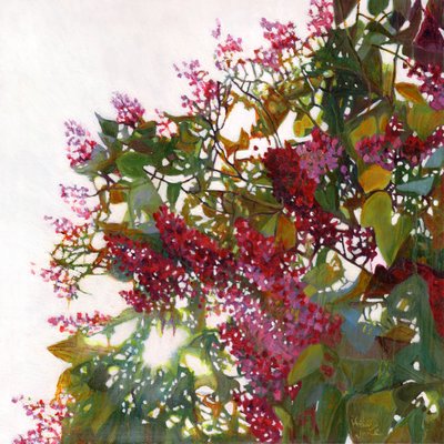 aglow, 2015 by Helen White