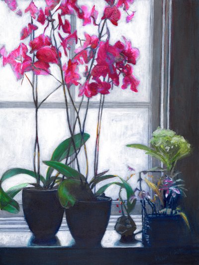Amsterdam Penceresi, 2021 by Helen White