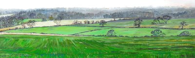 Farley Hill'in Zirvesinden, 2008 by Helen White