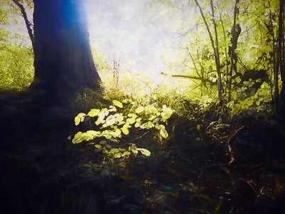 Kutsal Yer, 2018 by Helen White