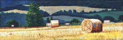 Yamaçta Haybales, 2012, by Helen White