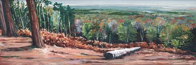 Yüksek Sırt, 2009 by Helen White