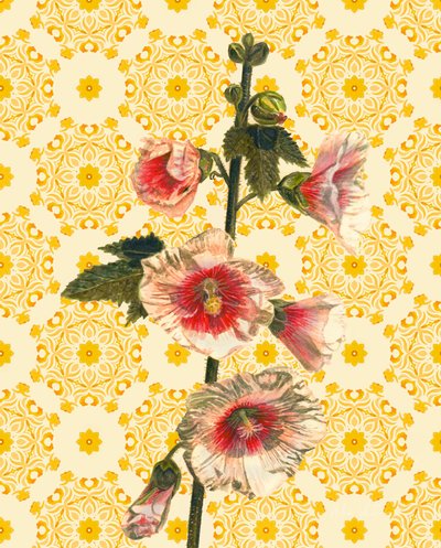 Hollyhocks on Sunshine, 2021 (suluboya) by Helen White