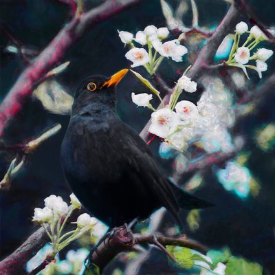 Yaz Şarkısının Efendisi, 2019 by Helen White