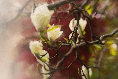 Manolya, 2018 by Helen White