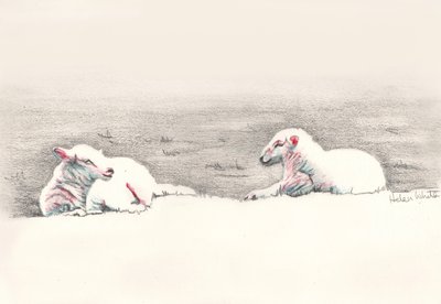 Uyuklayan, 2016, (karakalem) by Helen White