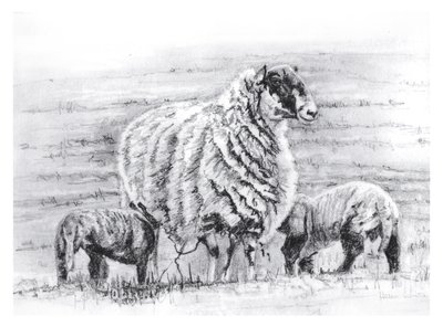 Gururlu, 2012 by Helen White