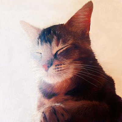 Purr-fect Spot, 2018 by Helen White