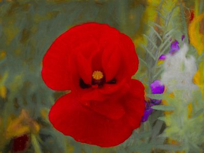 Kızıl, 2019 by Helen White