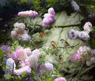 Bahar Serçeleri, 2020 by Helen White