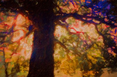 Serpme Meşe Altında, 2019 by Helen White