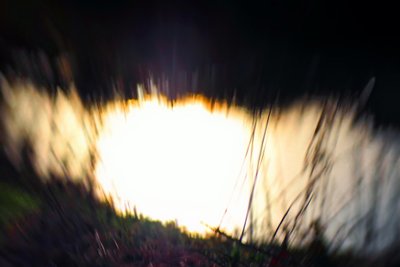 Su halısı I, 2017, (manipüle edilmiş fotoğrafçılık) by Helen White