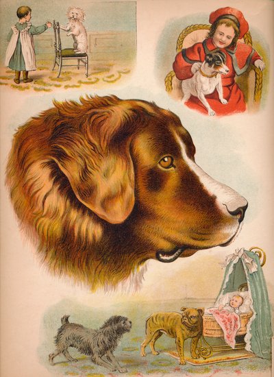 Köpek, c1900 by Helena J. Maguire