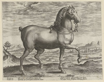 Almanya konumundan aygır Eqvvs Germanvs (nesne üzerindeki başlık) Avusturya Don Juan Kraliyet Ahırlarından At Irkları (seri başlığı) Equile Ioannis Austriaci Caroli (dizi adı) by Hendrick Goltzius (possibly)