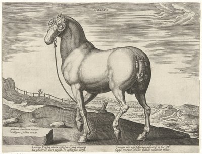 Korsika